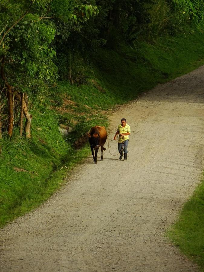 Miztli Lodge & Adventure Monteverde Exterior photo