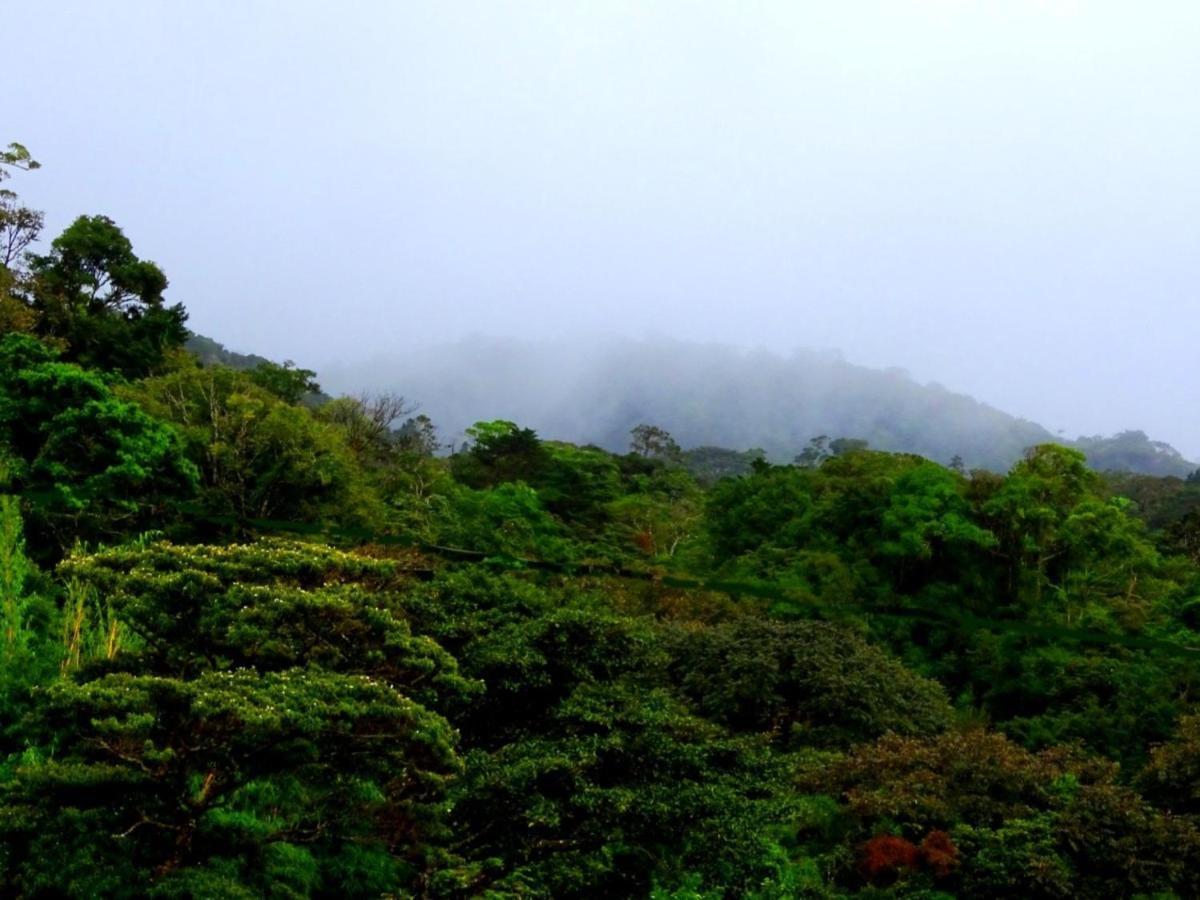 Miztli Lodge & Adventure Monteverde Exterior photo