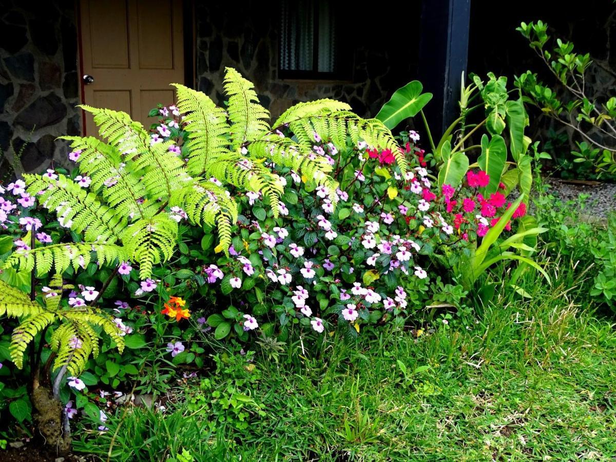 Miztli Lodge & Adventure Monteverde Exterior photo